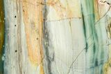 Freestanding Gary Green Jasper (Larsonite) Bog Wood - Oregon #377820-1